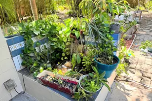 964 Brunswick Ct, Rockledge, FL 32955 - Photo 19