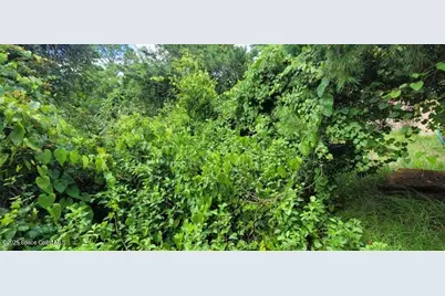 Unknown Woodland Hills Drive, Titusville, FL 32780 - Photo 15