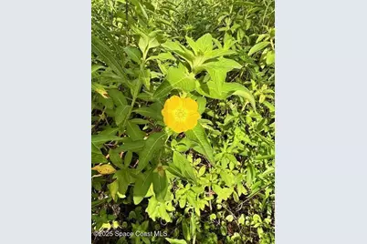 4235 Navel Street, Cocoa, FL 32926 - Photo 21