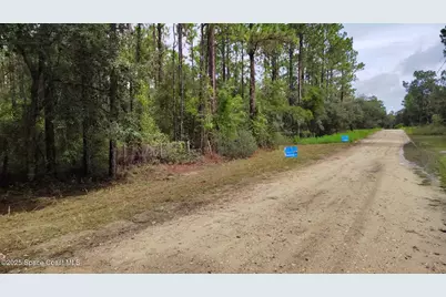 0000 SW 175th Lot #12 Court, Dunnellon, FL 34432 - Photo 5