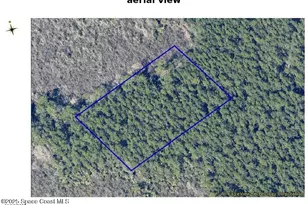 000 Unknown, Mims, FL 32754 - Photo 1