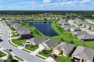 3479 Burrowing Owl Dr, Mims, FL 32754 - Photo 73