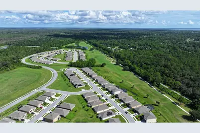 3479 Burrowing Owl Drive, Mims, FL 32754 - Photo 79