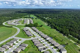 3479 Burrowing Owl Dr, Mims, FL 32754 - Photo 79