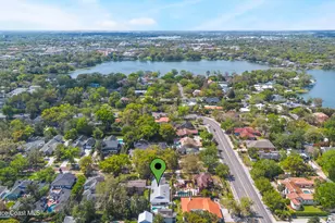 250 Cortland Ave, Winter Park, FL 32789 - Photo 71