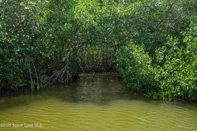 365 Newfound Harbor Drive, Merritt Island, FL 32952 - Photo 31