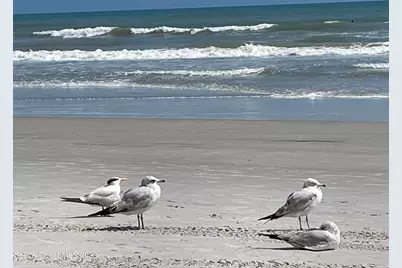 540 Poinciana Court, Melbourne, FL 32935 - Photo 33