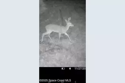 0 Unknown, Malabar, FL 32950 - Photo 7