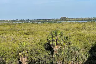 821 Del Rio Way, Merritt Island, FL 32953 - Photo 35