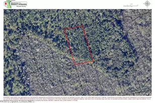 0 Gandy West Of, Mims, FL 32754 - Photo 1