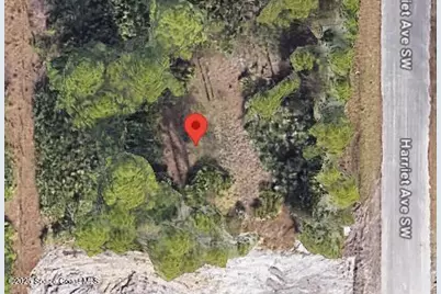 762 Harriet Avenue SW, Palm Bay, FL 32908 - Photo 1