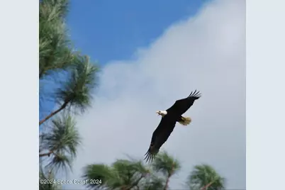 32801 N US Hwy 441 Lot 183 N, Okeechobee, FL 34972 - Photo 61