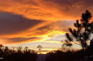 32801 N US Hwy 441 Lot 183 N, Okeechobee, FL 34972 - Photo 63