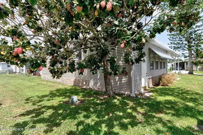 621 Puffin Drive, Barefoot Bay, FL 32976 - Photo 25