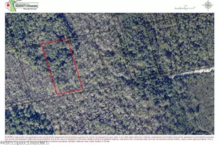 0 Gandy Rd, Mims, FL 32754 - Photo 1