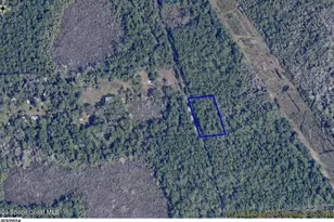 0 Unknown Ave, Mims, FL 32754 - Photo 1
