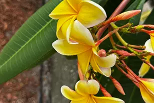 2710 Park Pl Blvd, Melbourne, FL 32935 - Photo 7