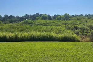 939 Remington Green Dr SE, Palm Bay, FL 32909 - Photo 31