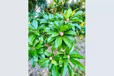 317 Lanack Road SE, Palm Bay, FL 32909 - Photo 35