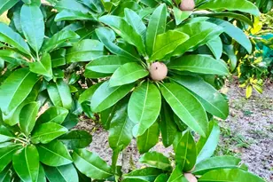 317 Lanack Rd SE, Palm Bay, FL 32909 - Photo 35