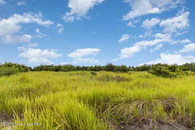 2563 Deviltree Avenue SW, Palm Bay, FL 32908 - Photo 7