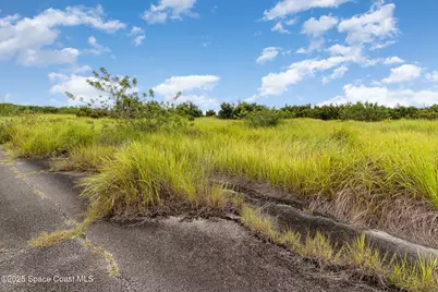 2563 Deviltree Avenue SW, Palm Bay, FL 32908 - Photo 11