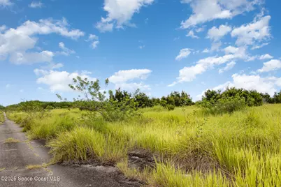 2555 Deviltree Avenue SW, Palm Bay, FL 32908 - Photo 5