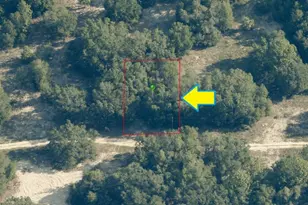 2508 Adams St, Inverness, FL - Photo 1