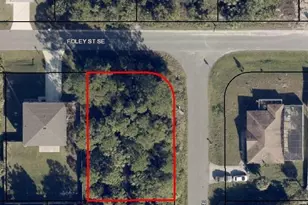 166 Foley (Cor Fresno) Street SE, Palm Bay, FL 32909 - Photo 1