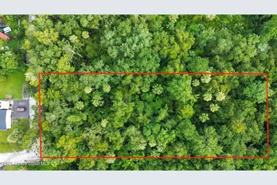 711 Tennessee Terrace, Ormond Beach, FL 32174 - Photo 3