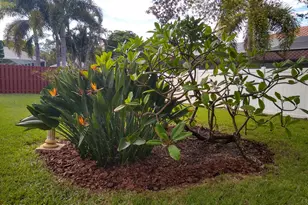 410 Oriole Ln, Indialantic, FL 32903 - Photo 3