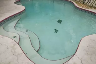 916 Le Baron St SW, Palm Bay, FL 32908 - Photo 47