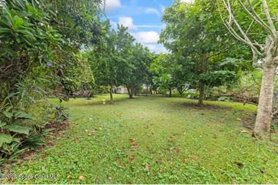 2066 Acacia Street NE, Palm Bay, FL 32905 - Photo 25