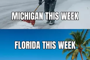 292 Holiday Park Blvd NE, Palm Bay, FL 32907 - Photo 35