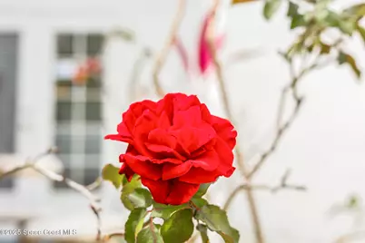 1003 S Washington Avenue, Titusville, FL 32780 - Photo 17