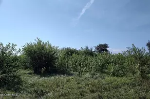 790 SW Burgess Street SW, Palm Bay, FL 32908 - Photo 1