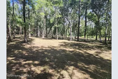 4110 Hampton Lane, Mims, FL 32754 - Photo 21