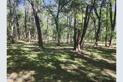 4110 Hampton Lane, Mims, FL 32754 - Photo 19