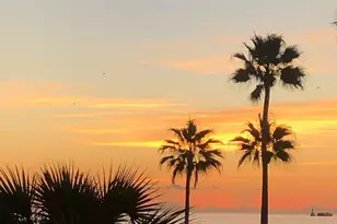 605 Shorewood Dr, Cape Canaveral, FL 32920 - Photo 3