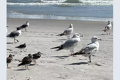 239 Brickell Street SE, Palm Bay, FL 32909 - Photo 53