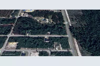 0 Fisher Pass, Silver Springs, FL 34488 - Photo 3