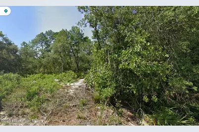 0 Fisher Pass, Silver Springs, FL 34488 - Photo 1