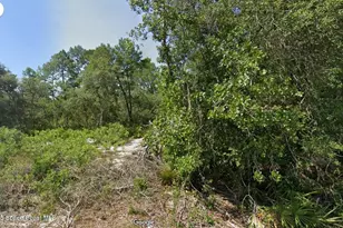 0 Fisher Pass, Silver Springs, FL 34488 - Photo 1