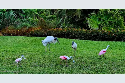 7389 Tourmaline Drive, Grant-Valkaria, FL 32949 - Photo 43