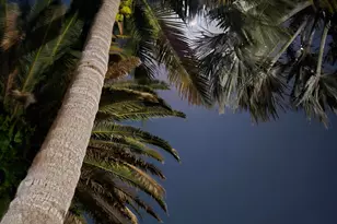 310 Glenwood Ave, Satellite Beach, FL 32937 - Photo 33