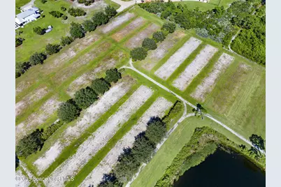 000E Berry Road, Grant-Valkaria, FL 32949 - Photo 23