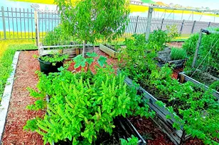 5090 Hebron Dr, Merritt Island, FL 32953 - Photo 21