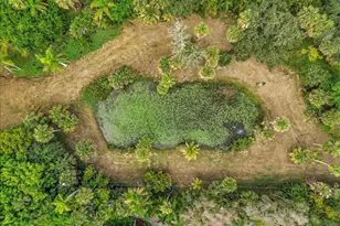 6555 S Tropical Trail, Merritt Island, FL 32952 - Photo 35