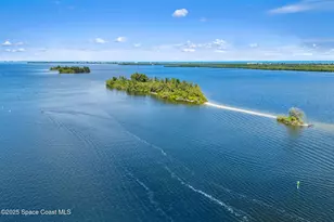 3670 Painted Bunting Pl, Grant-Valkaria, FL 32949 - Photo 81