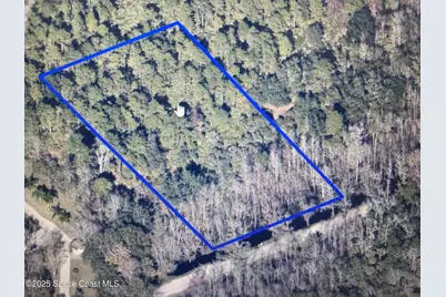 0000 Lloyd Street, Mims, FL 32754 - Photo 1